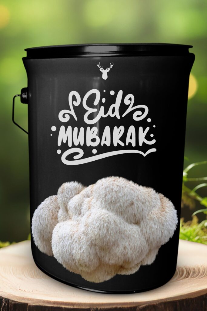  "Eid Mubarak" Lion's Mane Mushroom Grow Kit - Celebrate Eid with Organic Delight