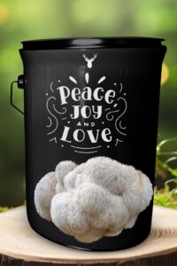  "Peace Joy Love" Lion's Mane Mushroom Grow Kit - Embrace the Holiday Spirit with Organic Delight