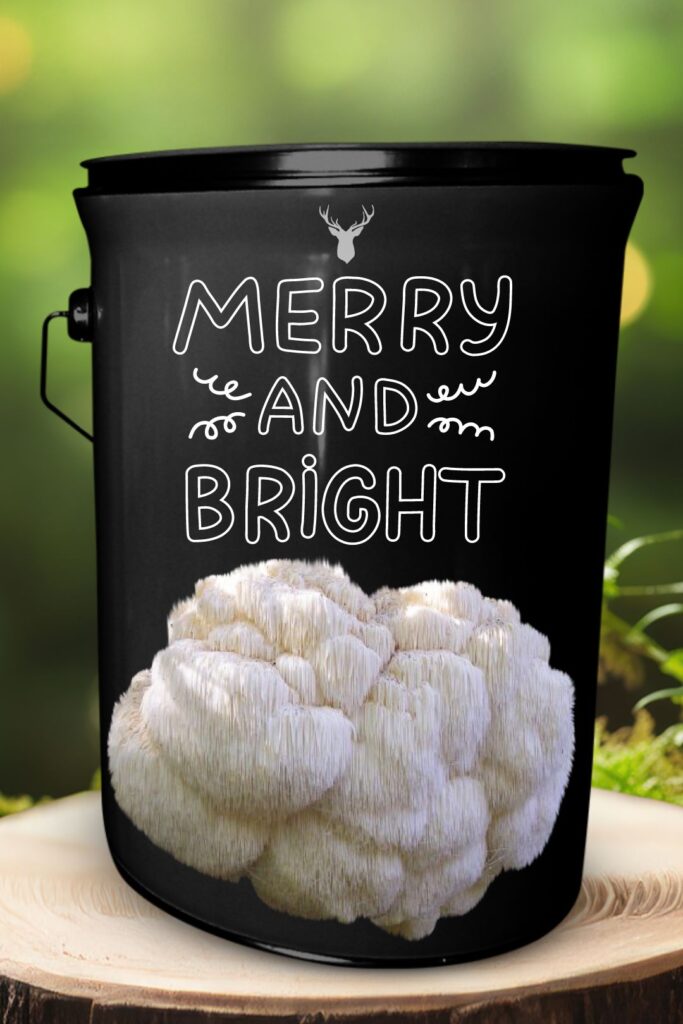 "Merry and Bright" Lion's Mane Mushroom Grow Kit - Illuminate Your Christmas with Organic Elegance