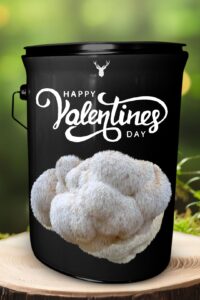 "Happy Valentine's Day" Lion's Mane Mushroom Grow Kit - Cultivate Love with Organic Romance