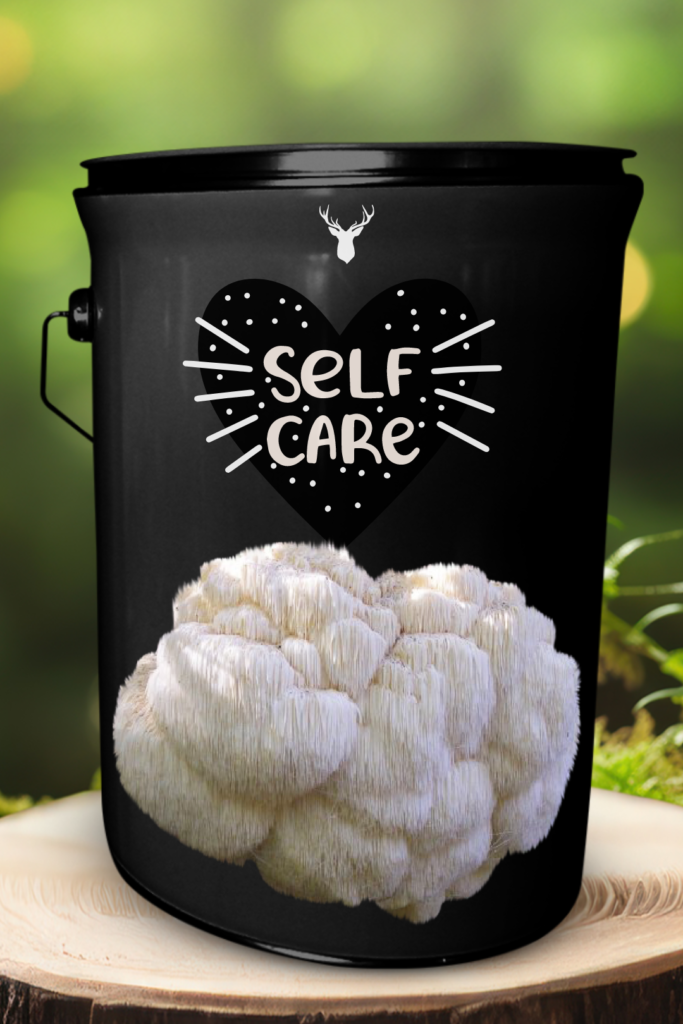 "Self Care" Lion's Mane Mushroom Grow Kit - Organic Wellness at Home