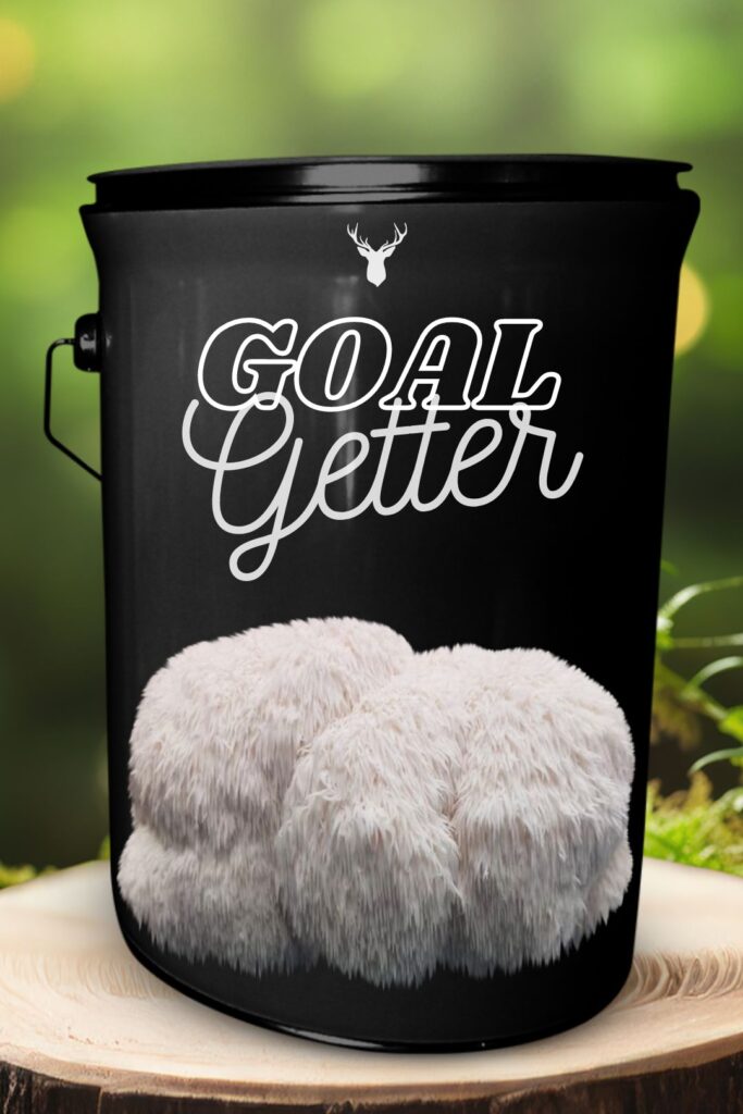 "Goal Getter" Lion's Mane Mushroom Grow Kit - Celebrate Dreams and Dreamers with Organic Gourmet Mushrooms 