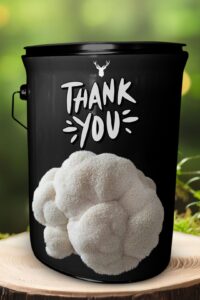 Gratitude Gift - "Thank You" Lion's Mane Mushroom Grow Kit - Show Gratitude with Organic Gourmet Mushrooms