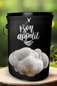 "Bon Appetit" Lion's Mane Mushroom Grow Kit - Elevate Your Culinary Adventures with Organic Gourmet Mushrooms