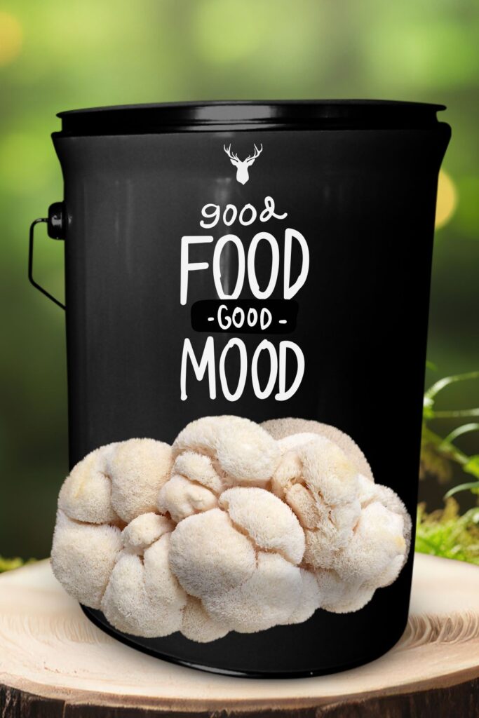 "Good Food, Good Mood" Lion's Mane Mushroom Grow Kit - Nourish Happiness and Mental Calm with Organic Goodness