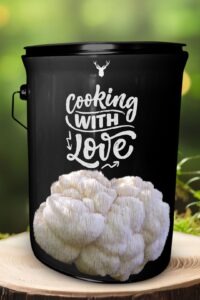 "Cooking with Love" Lion's Mane Mushroom Grow Kit - Infuse Your Dishes with Organic Passion