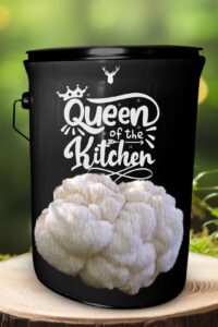 "Queen of the Kitchen" Lion's Mane Mushroom Grow Kit - Reign Over Your Culinary Kingdom with Organic Mushrooms