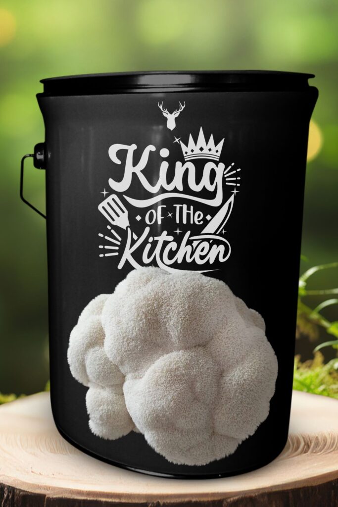 "King of the Kitchen" Lion's Mane Mushroom Grow Kit - Rule Any Culinary Domain with Organic Mushrooms