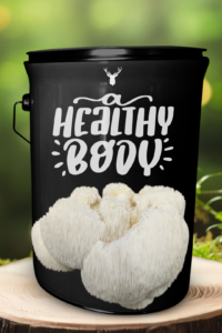 "A Healthy Body" Lion's Mane Mushroom Grow Kit - Embrace Vitality with Organic Nutrition