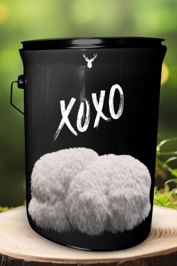 "XOXO" Lion's Mane Mushroom Grow Kit - Cultivate Hugs and Kisses with Organic Charm