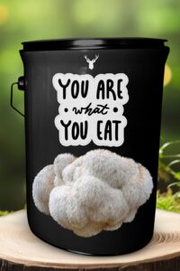  "You Are What You Eat" Lion's Mane Mushroom Grow Kit - Embrace Organic Wellness