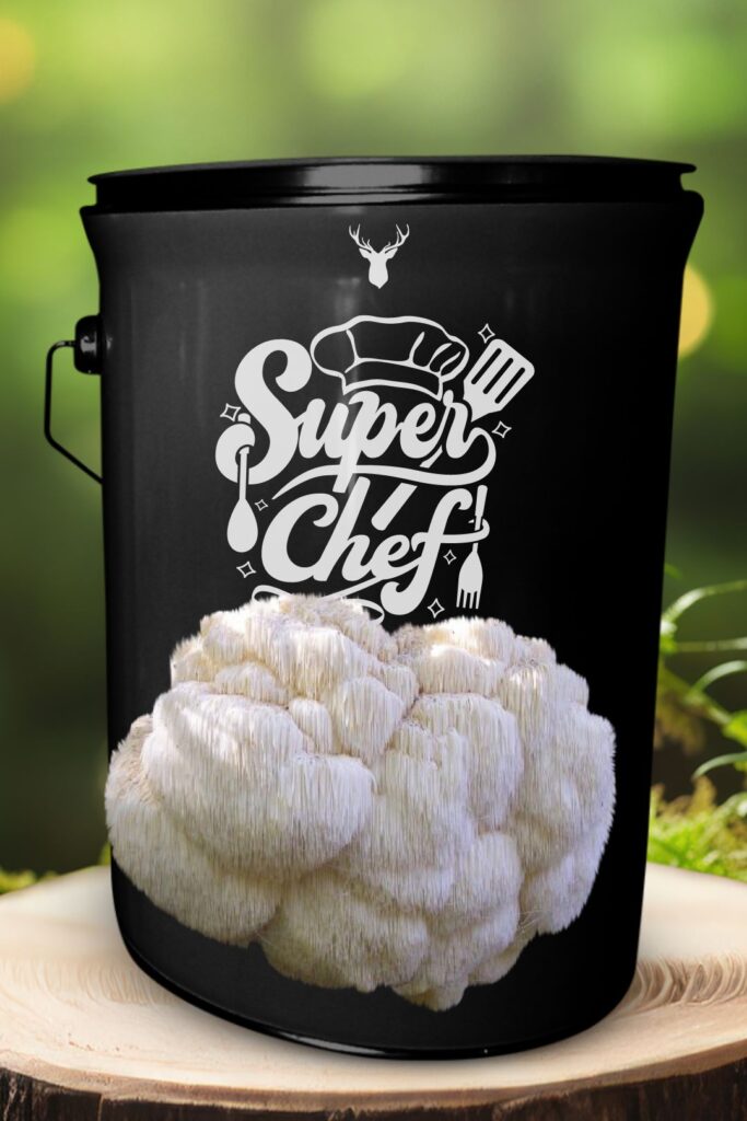 "Super Chef" Lion's Mane Mushroom Grow Kit - Unleash Culinary Superpowers with Organic Gourmet Mushrooms