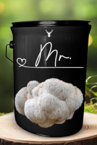 "Mr" Lion's Mane Mushroom Grow Kit - Honour His Special Moments with Organic Sophistication