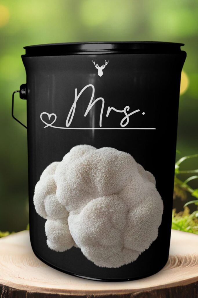 "Mrs" Lion's Mane Mushroom Grow Kit - Celebrate Her Special Moments with Organic Elegance