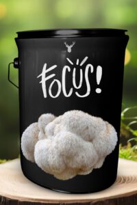 "Focus" Lion's Mane Mushroom Grow Kit - Sharpen Your Mind with Organic Excellence