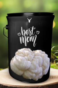  "Best Mom" Lion's Mane Mushroom Grow Kit - Celebrate Your Mother with Organic Elegance