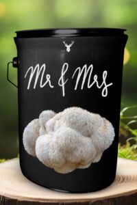 "Mr & Mrs" Lion's Mane Mushroom Grow Kit - Celebrate Their Union with Organic Luxuries 