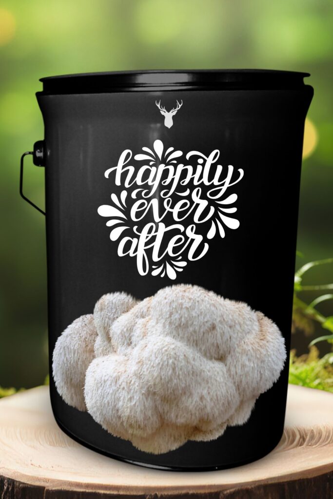 "Happily Ever After" Lion's Mane Mushroom Grow Kit - Celebrate Their Love with Organic Splendour