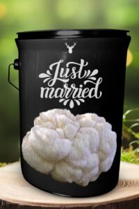 "Just Married" Lion's Mane Mushroom Grow Kit - Celebrate Their New Beginning with Organic Splendour