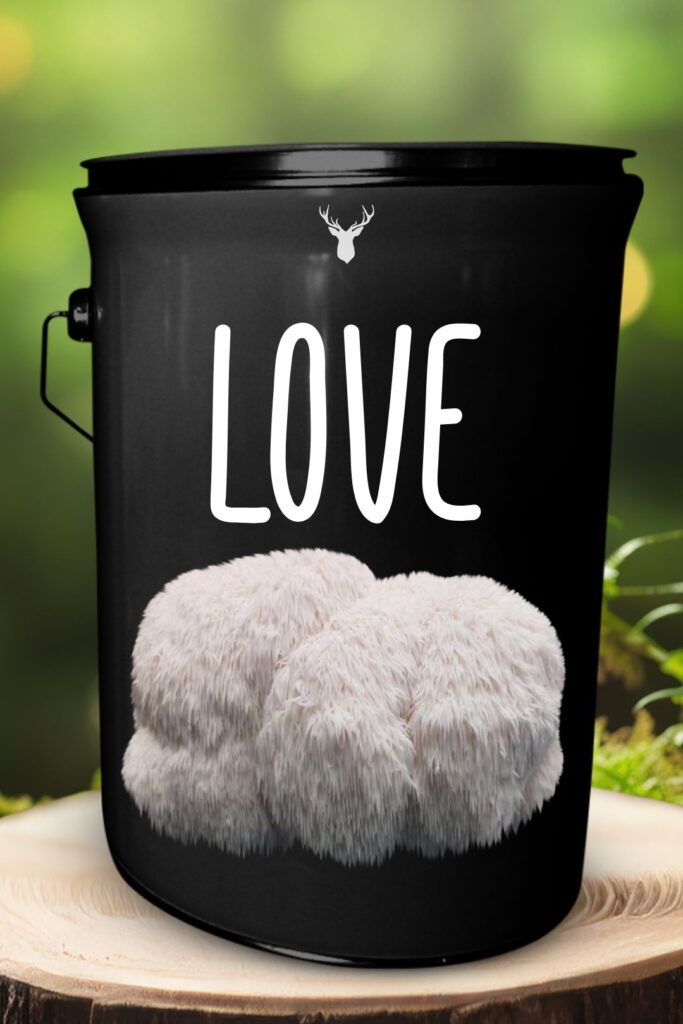 "LOVE" Lion's Mane Mushroom Grow Kit - Share the Gift of Organic Affection