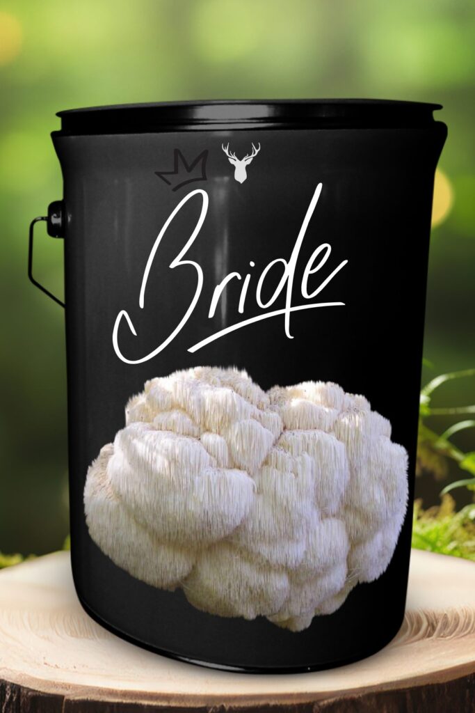  "Bride" Lion's Mane Mushroom Grow Kit - A Beautiful Gift for the Beautiful Bride