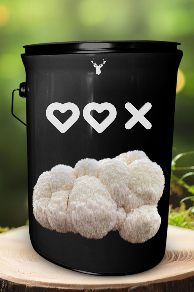 "Hearts Kiss" Lion's Mane Mushroom Grow Kit - Express Love with Organic Mushrooms