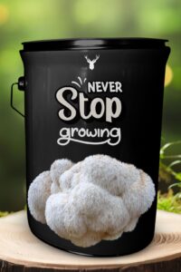 "Never Stop Growing" Lion's Mane Mushroom Grow Kit - Inspire Growth and Self Development with Organic Excellence