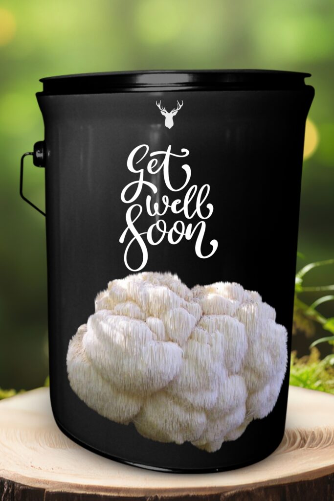 "Get Well Soon" Lion's Mane Mushroom Grow Kit - Wishing a Speedy Recovery with Organic Wellness