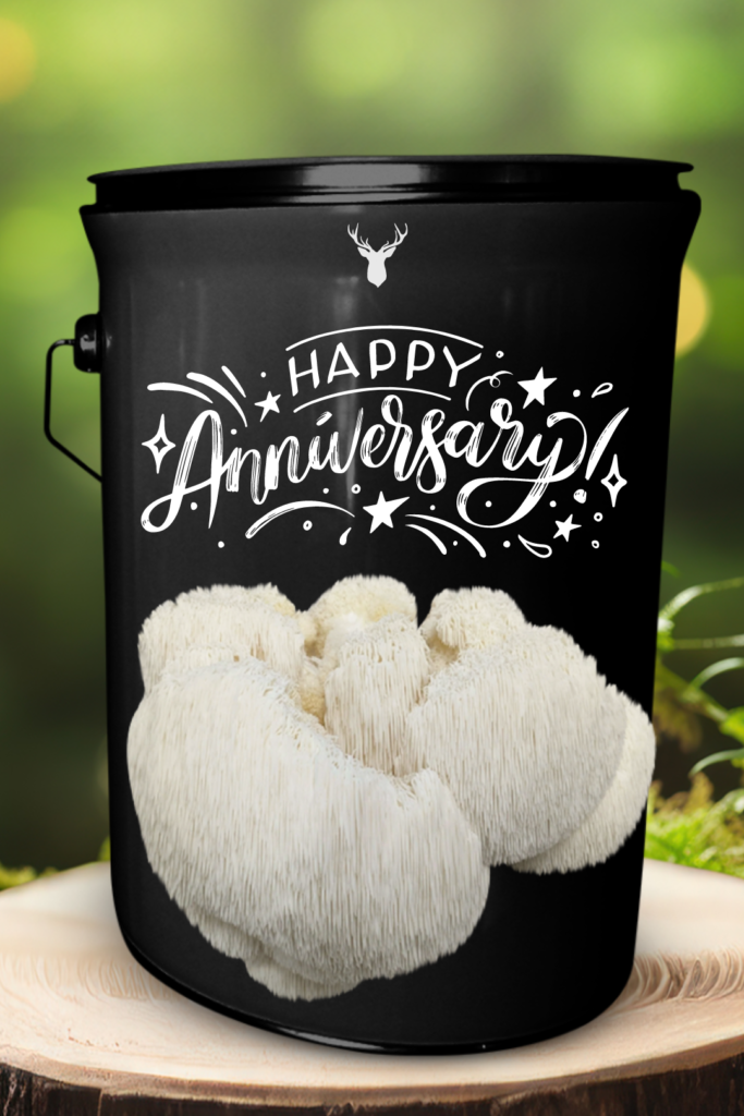 Happy Anniversary Lion's Mane Mushroom Grow Kit - Cultivate Love and Gourmet Flavours - Perfect Couple's Gift