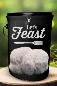 "Let's Feast" Lion's Mane Mushroom Grow Kit - A Culinary Celebration with Organic Mushrooms