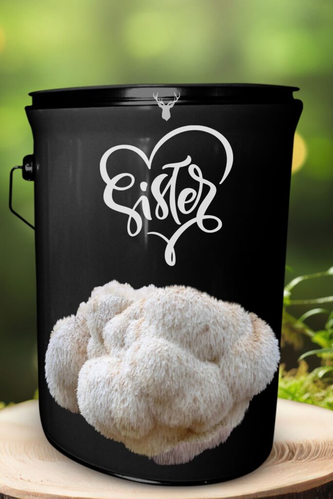 "Sister" Lion's Mane Mushroom Grow Kit - Celebrate Sisterhood with Organic Beauty