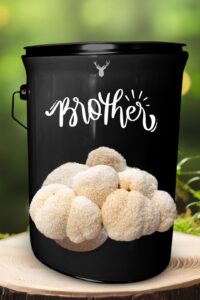 "Brother" Lion's Mane Mushroom Grow Kit - Honour Brotherhood with Organic Mushrooms