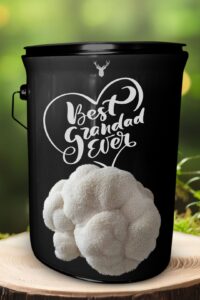 "Best Grandad Ever" Lion's Mane Mushroom Grow Kit - Honour Grandfatherhood with Organic Mushrooms