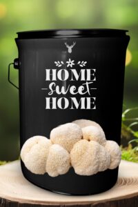  "Home Sweet Home" Lion's Mane Mushroom Home Gift Grow Kit - A Welcoming Gift for a New Home