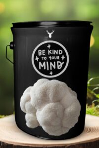 "Be Kind to Your Mind" Lion's Mane Mushroom Grow Kit - Nurture Wellness with Organic Gourmet Mushrooms