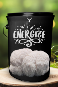 Energize Lion's Mane Mushroom Grow Kit - Boost Vitality with Organic Gourmet Mushrooms