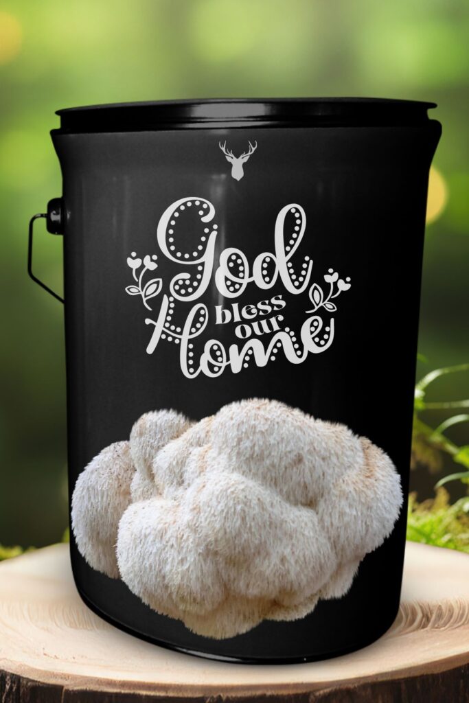 "God Bless Our Home" Lion's Mane Mushroom Grow Kit - A Thoughtful House Blessing Gift