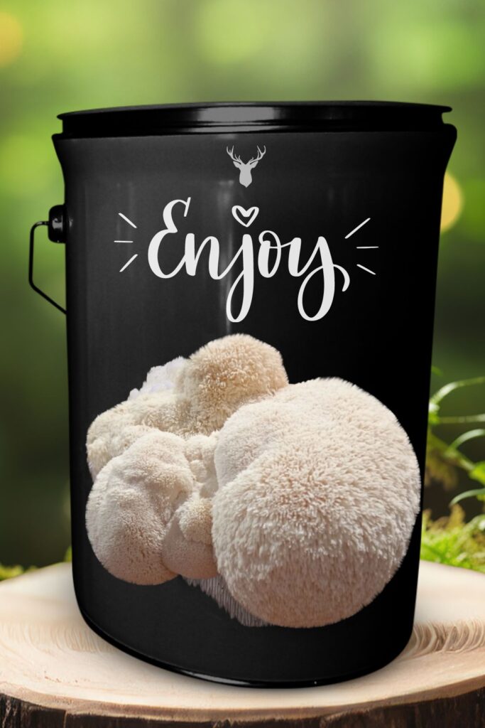 "Enjoy" Lion's Mane Mushroom Grow Kit - A Delightful Gift for Any Occasion