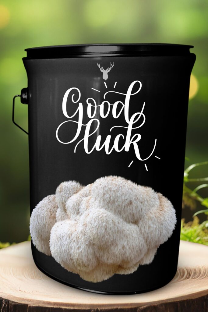 "Good Luck" Lion's Mane Mushroom Grow Kit - A Gift for New Beginnings