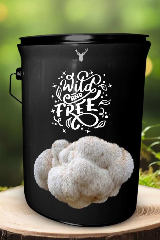 "Wild and Free" Lion's Mane Mushroom Grow Kit - A Gift for the Free-Spirited Soul