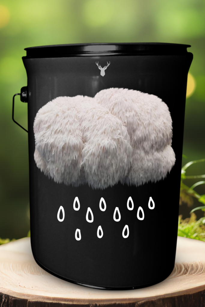 "Culinary Cloud" Lion's Mane Mushroom Grow Kit - Artistic Organic Culinary Experience