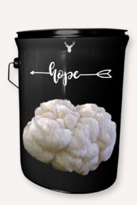 "Hope" Lion's Mane Mushroom Grow Kit - A Gift for Bright Futures