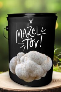 "Mazel Tov" Lion's Mane Mushroom Grow Kit - Celebrate with Organic Joy