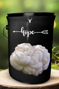 "Hope" Lion's Mane Mushroom Grow Kit - A Gift for Bright Futures