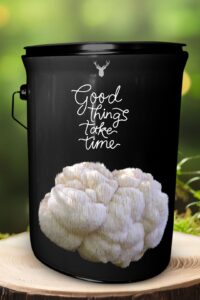 "Good Things Take Time" Lion's Mane Mushroom Grow Kit - A Gift for Patience and Growth