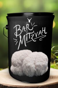  "Bar Mitzvah" Lion's Mane Mushroom Grow Kit - Celebrate Milestones with Organic Delight