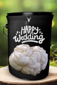 "Happy Wedding" Lion's Mane Mushroom Grow Kit - A Unique Gift for Newlyweds