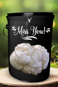 "Miss You" Lion's Mane Mushroom Grow Kit - Cultivate Organic Connections