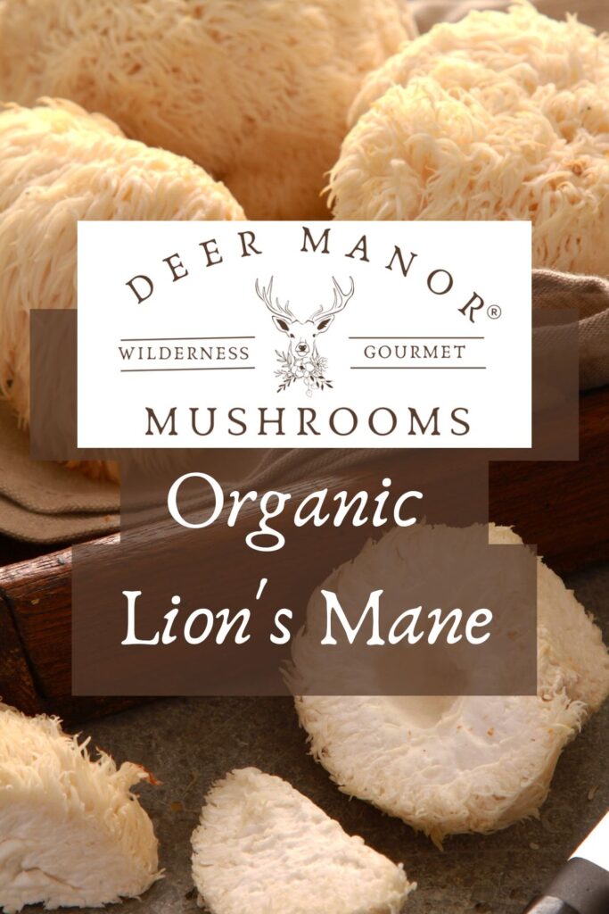 Gourmet Lion's Mane