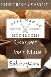 Gourmet Lion's Mane Subscription